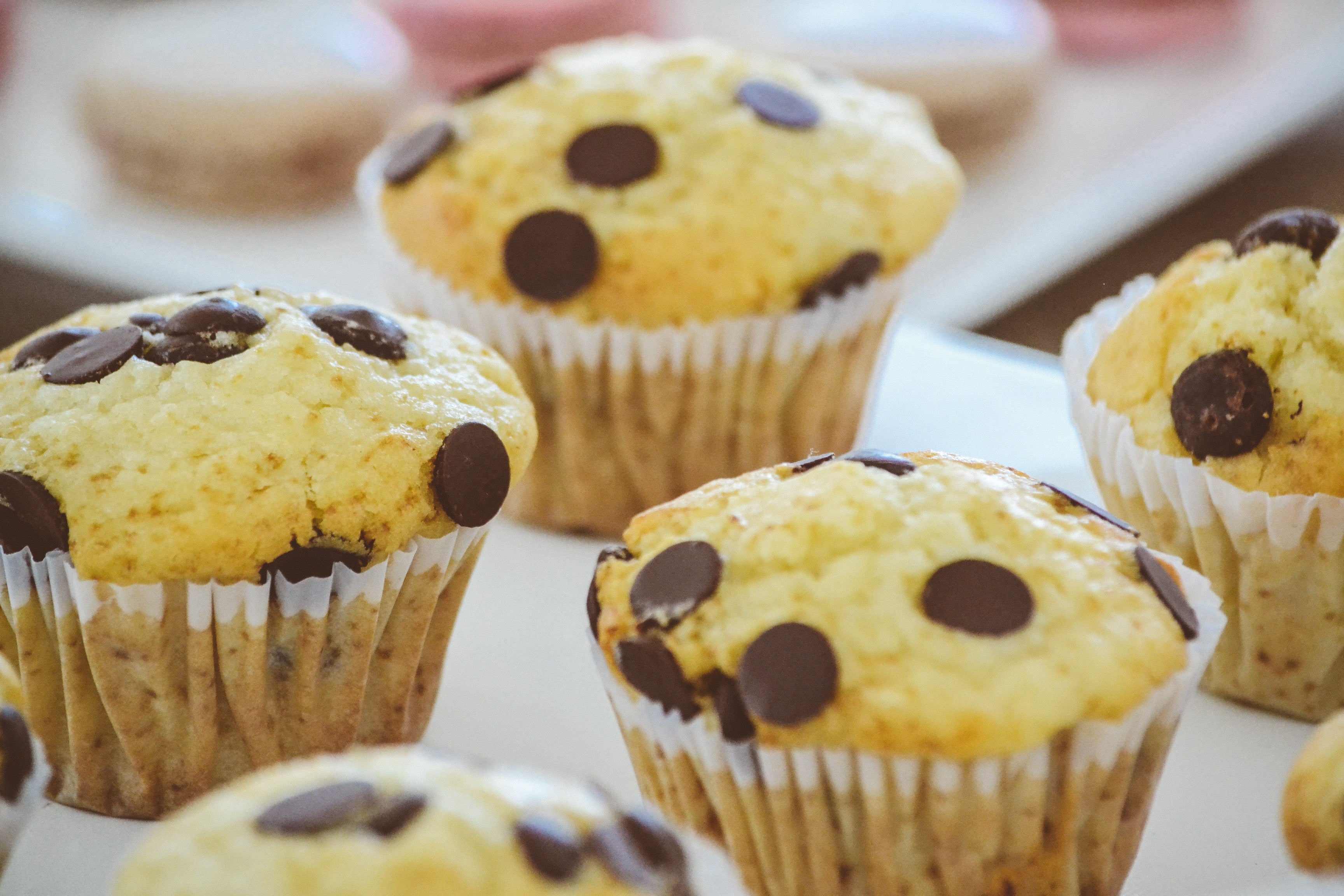 Classic Chocolate Chip Muffins | Soft, Fluffy & Freshly Baked